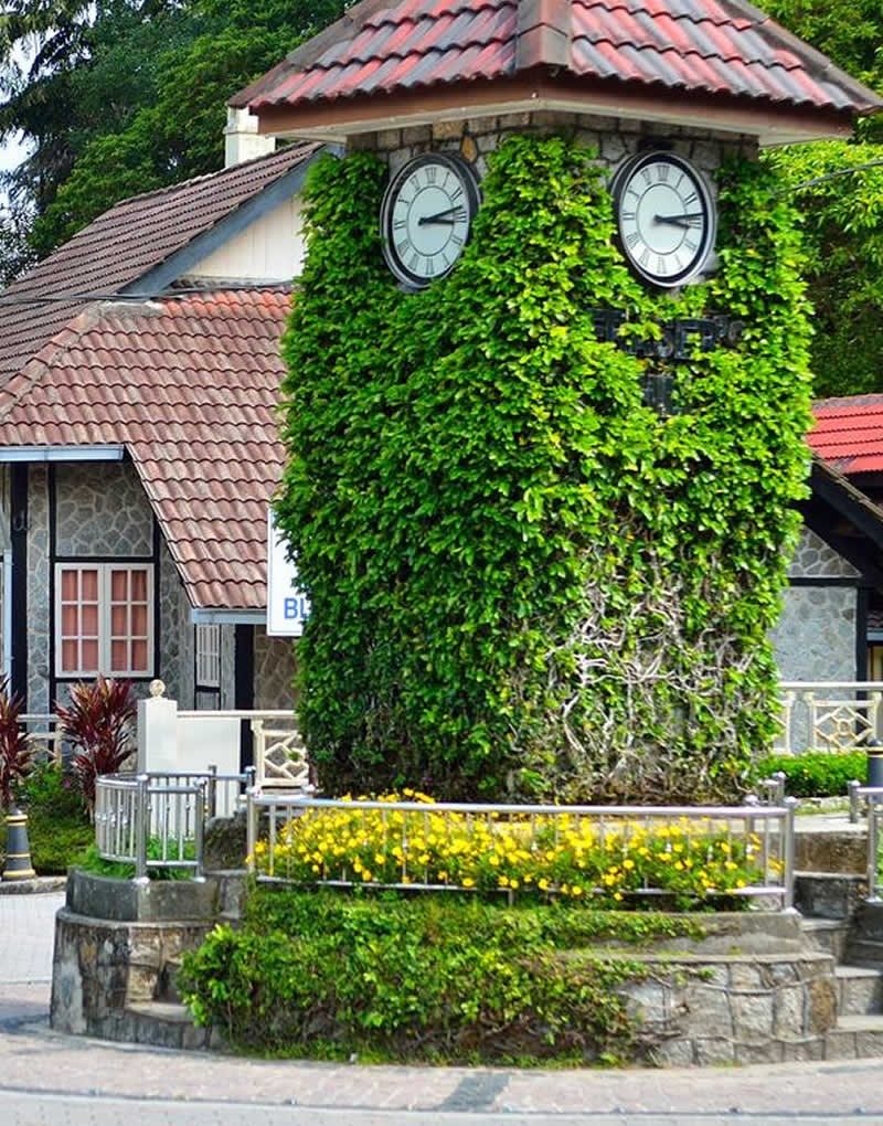 An ivy-covered clock tower in a well-maintained garden