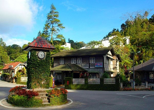 Ivy-covered Clock Tower in a scenic village
