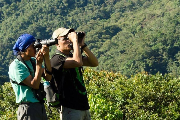 Two people using binoculars and a camera in the forest.