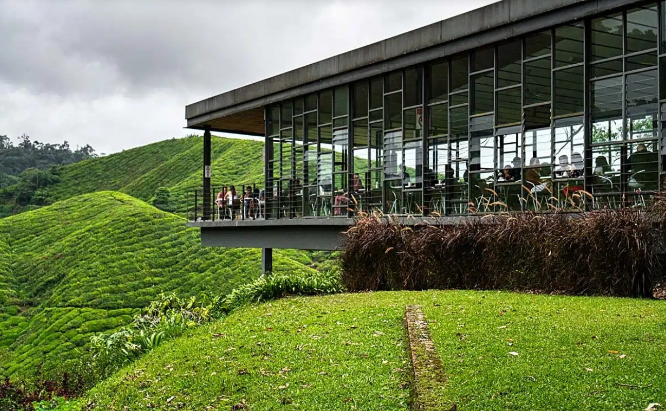 A modern glass building overlooking lush green tea plantations.